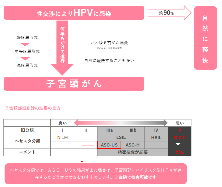 HPVから子宮頸がんになる図